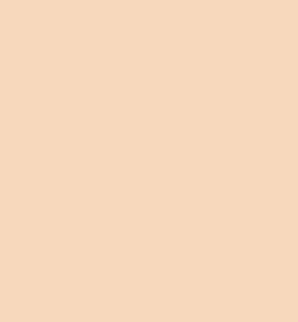 Rectangle-179